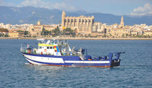 RV Francisco de Paula Navarro