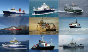 All vessels